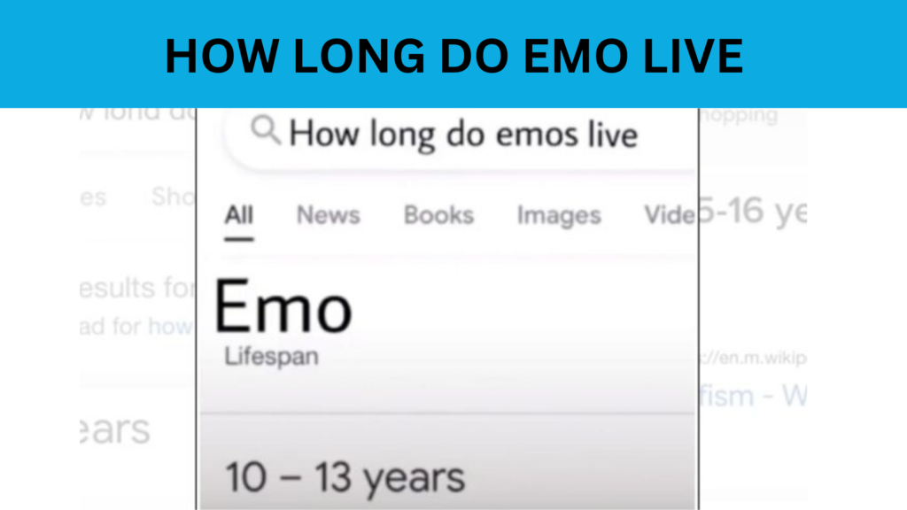 How Long Do EMO Live