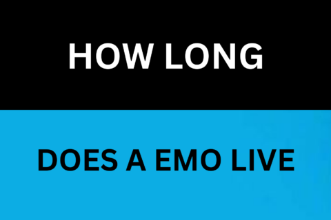 How Long Do EMOS Live